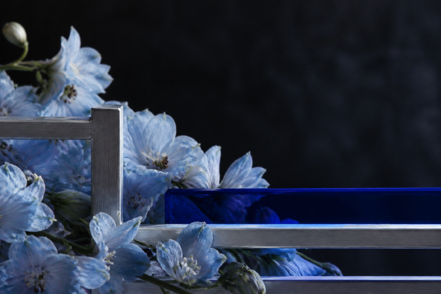 Fleurs bleues, verre cobalt et structure métallique sur fond sombre